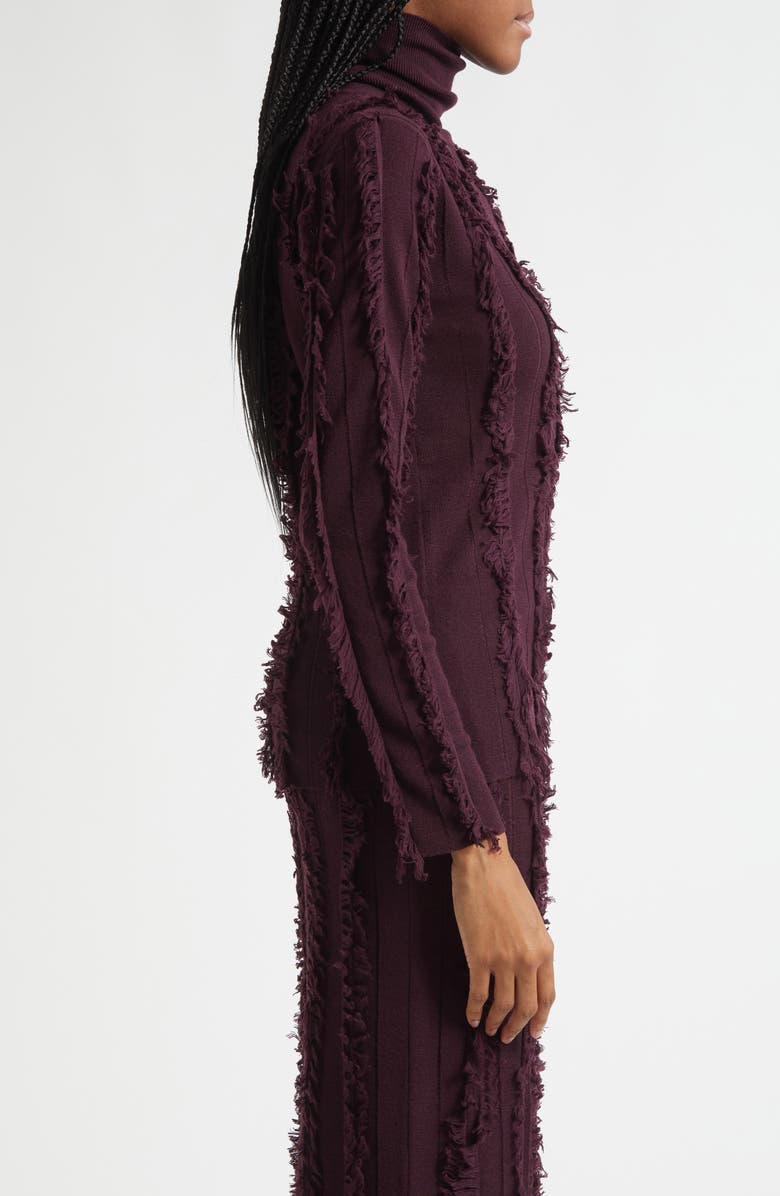ZANKOV Nico Fringe Stripe Merino Wool Turtleneck Sweater, Alternate, color, Pineau