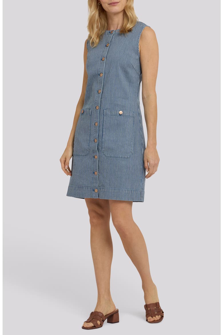 Sleeveless Denim Utility Dress, Main, color, MALAGA STRIPE