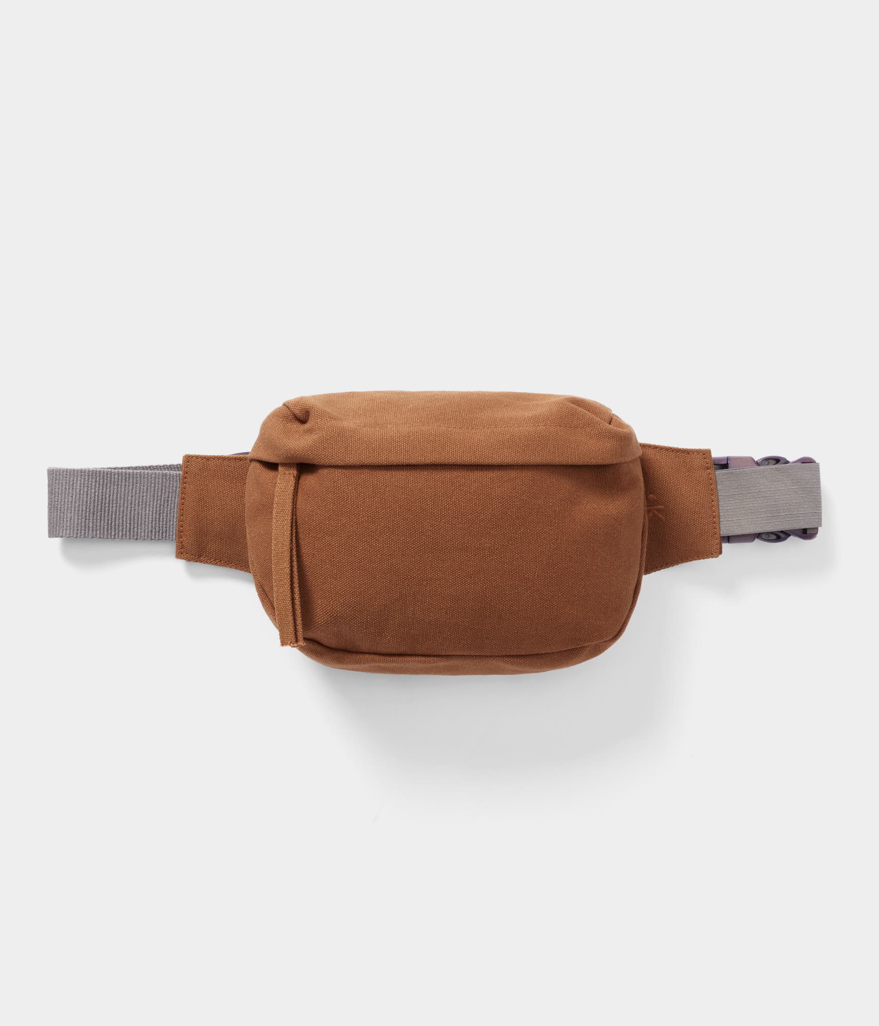 Belt Bag, Alternate, color, Spice