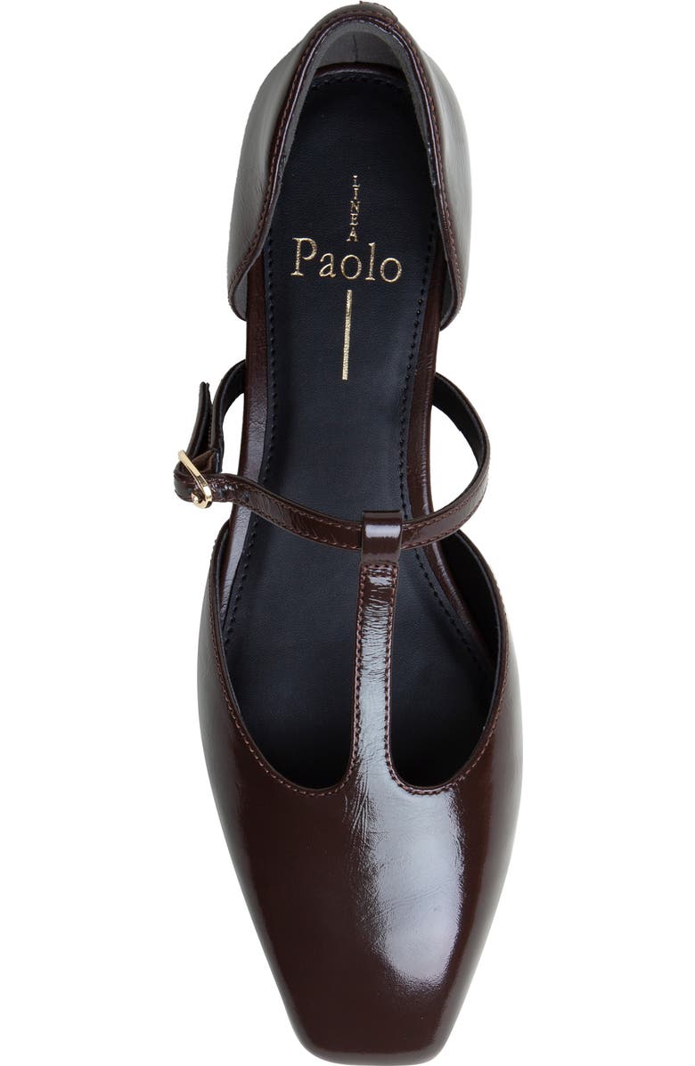 Linea Paolo Coralee Mary Jane Pump, Alternate, color, Chocolate
