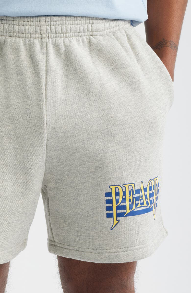 Museum of Peace & Quiet Seventies Graphic Sweat Shorts, Alternate, color, Ash
