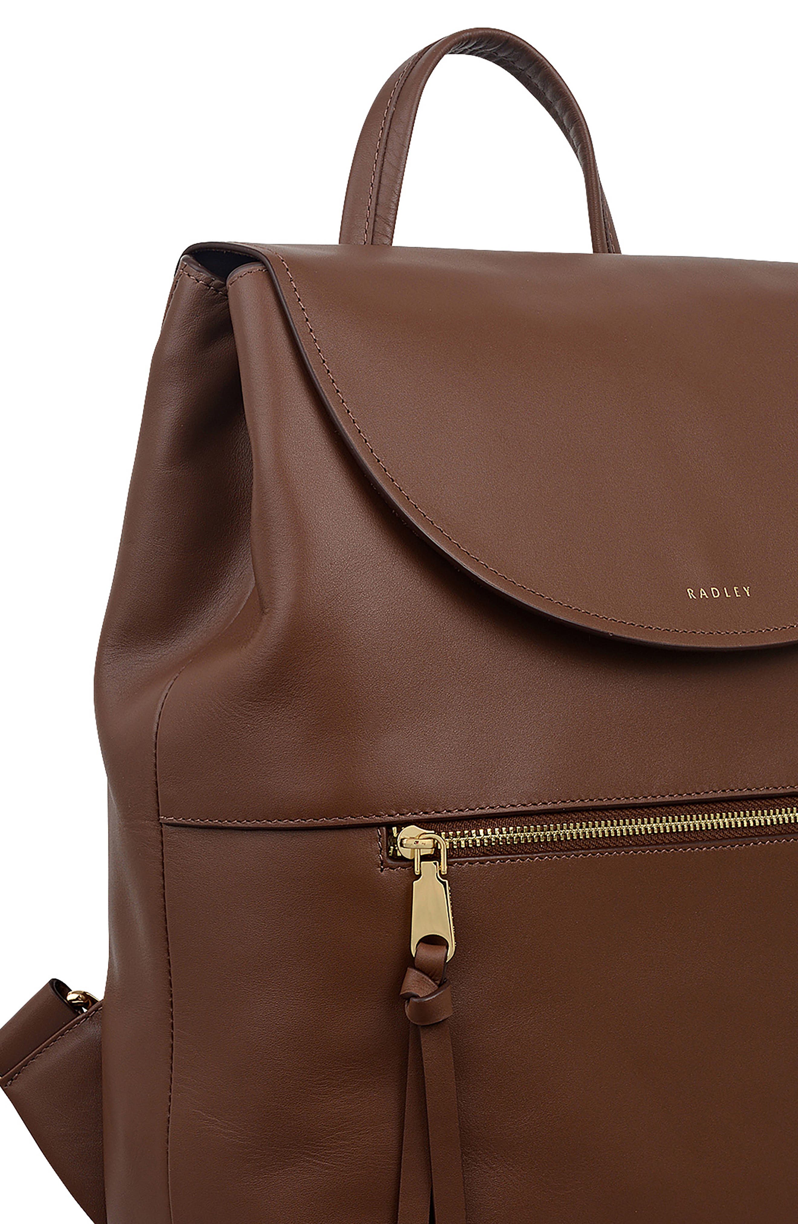 Radley Albion Street Leather Backpack, Alternate, color, Chocolate