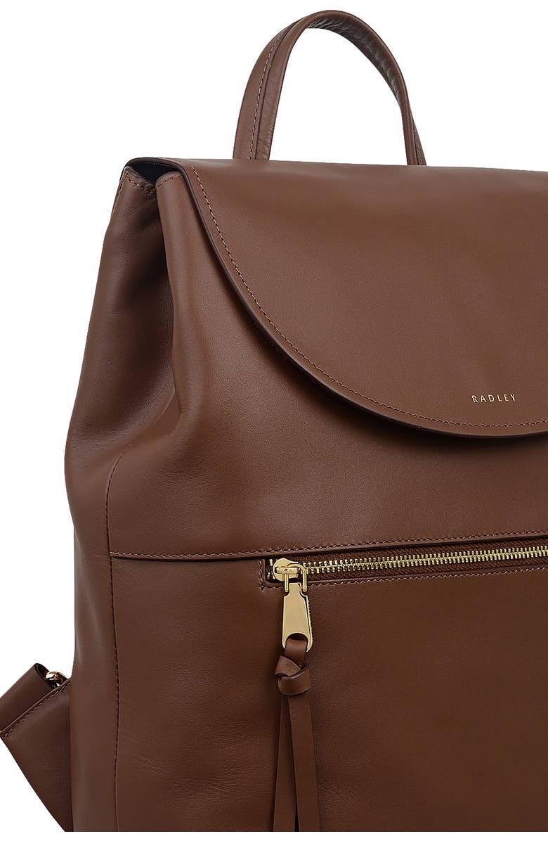 Radley Albion Street Leather Backpack, Alternate, color, Chocolate