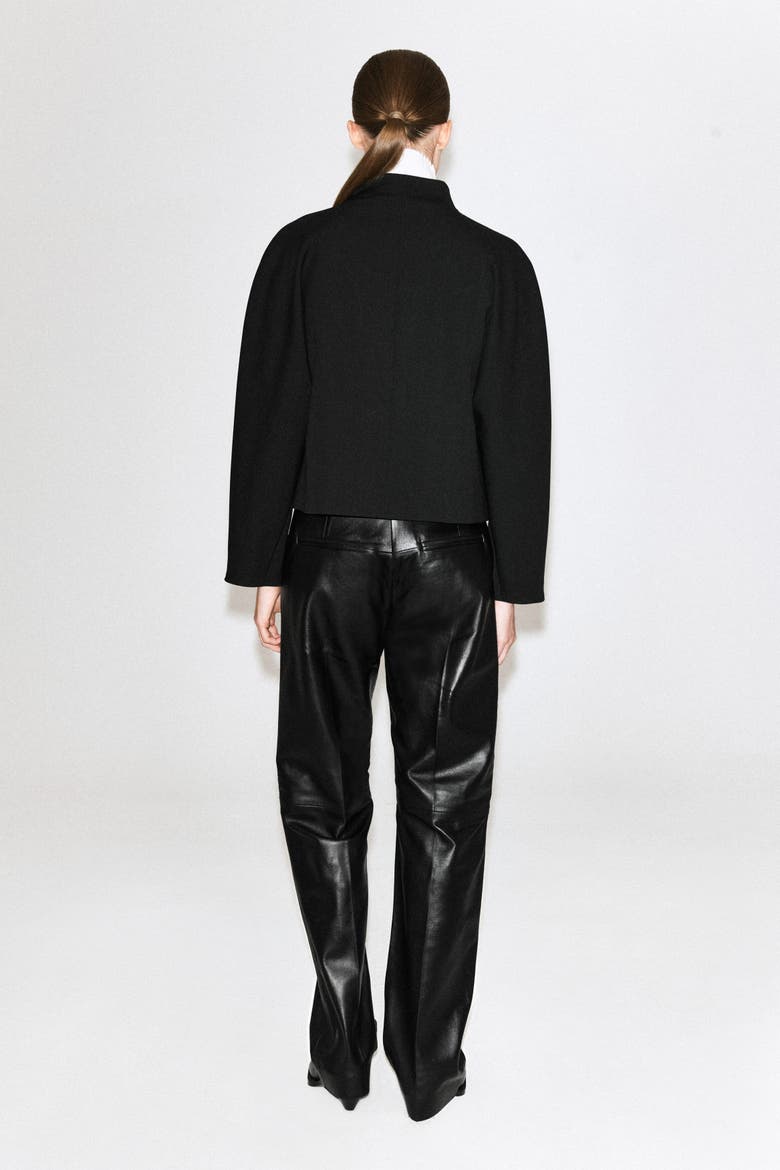 Sculpted Stand-Collar Jacket, Alternate, color, BLACK