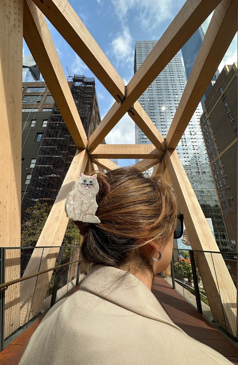 Solar Eclipse Persian Cat Claw Clip, Alternate, color, 