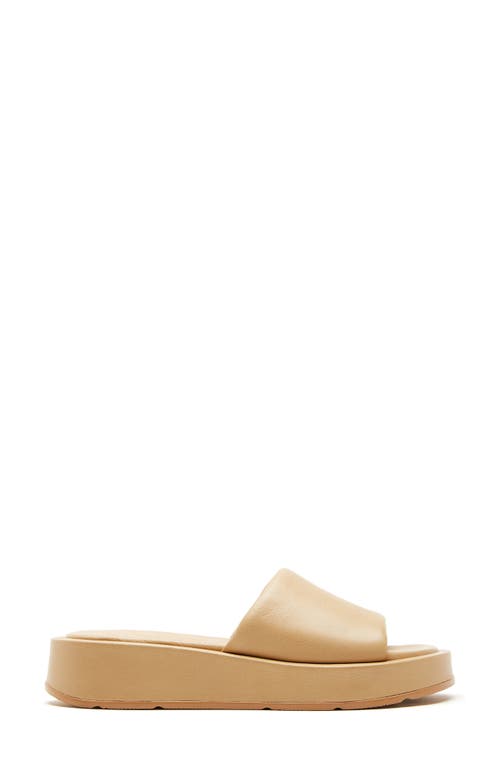 Shop La Canadienne Ami Slide Sandal