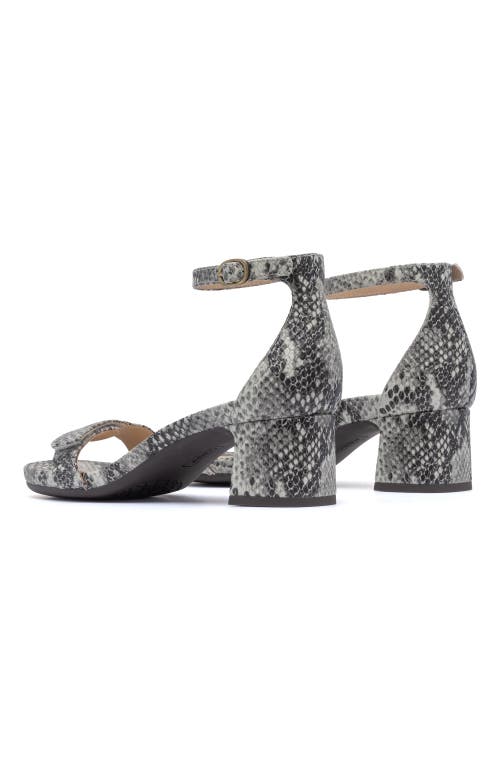Abeo Avenue Strap Heels In Snake Print - Regular