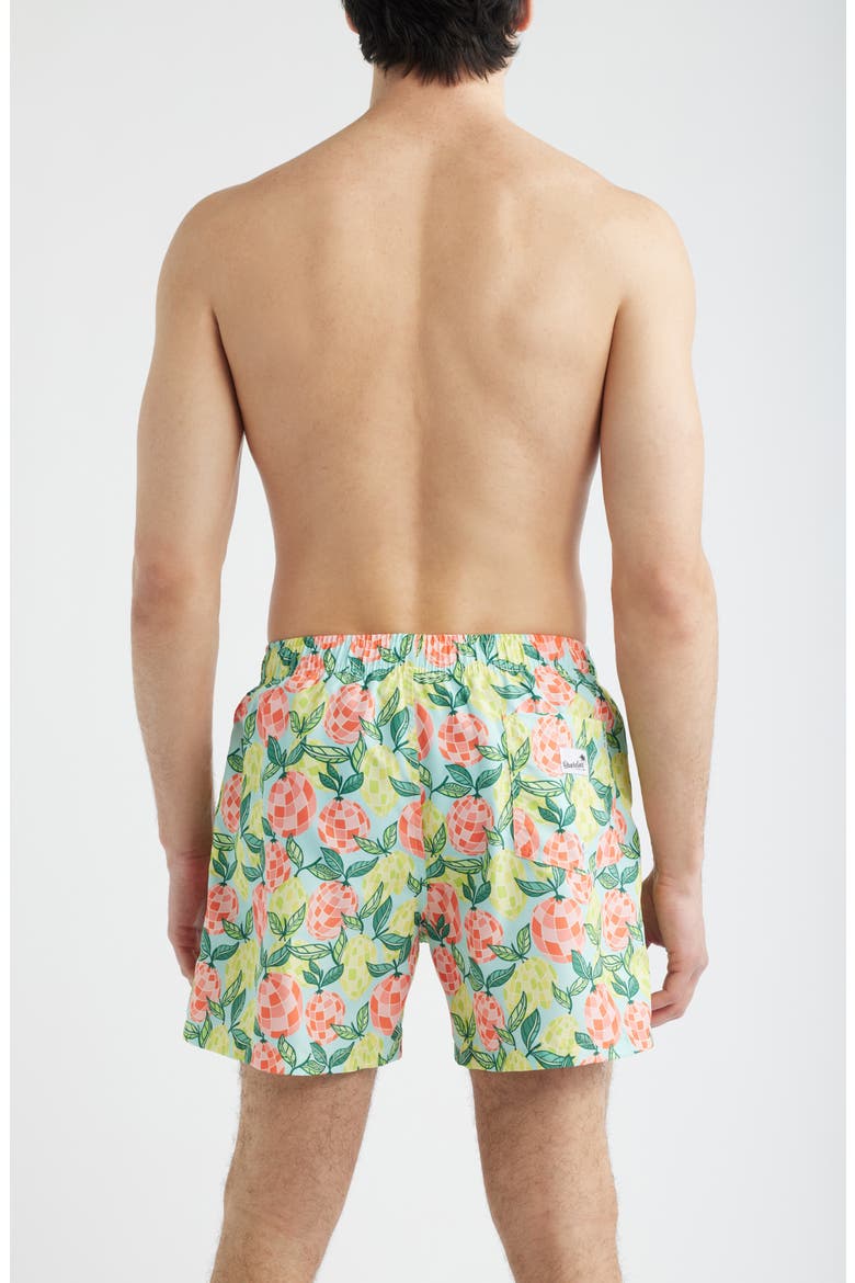 Citrus Disco Print Swim Trunks, Alternate, color, MULTI