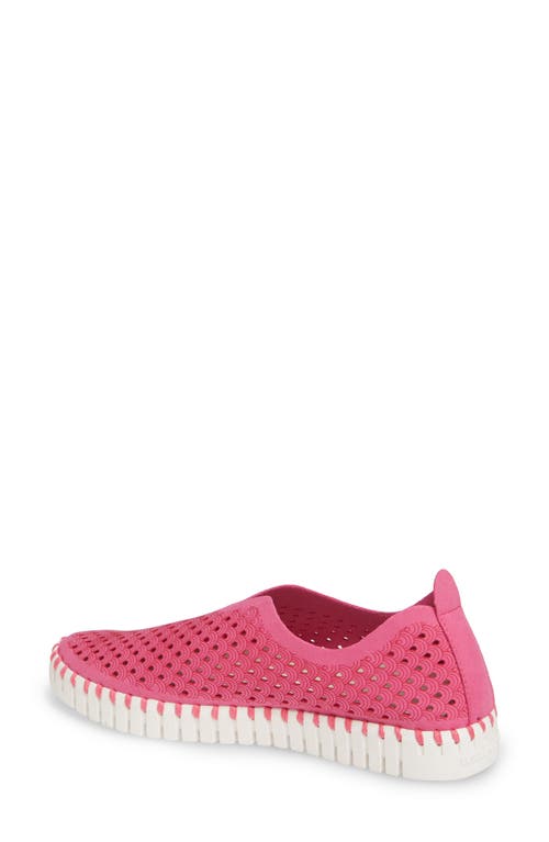 Ilse Jacobsen Tulip 139 Perforated Slip-on Sneaker In Adobe Rose