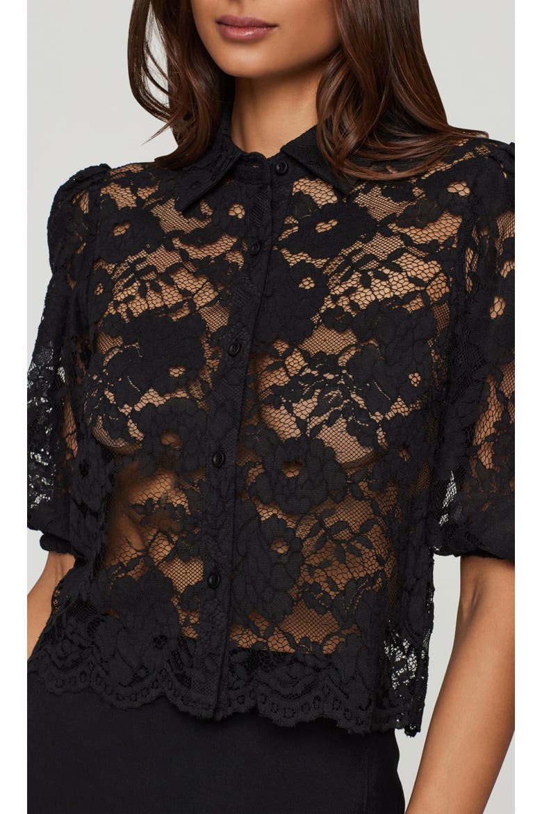 Tammy Mesh Lace Shirt, Alternate, color, Black