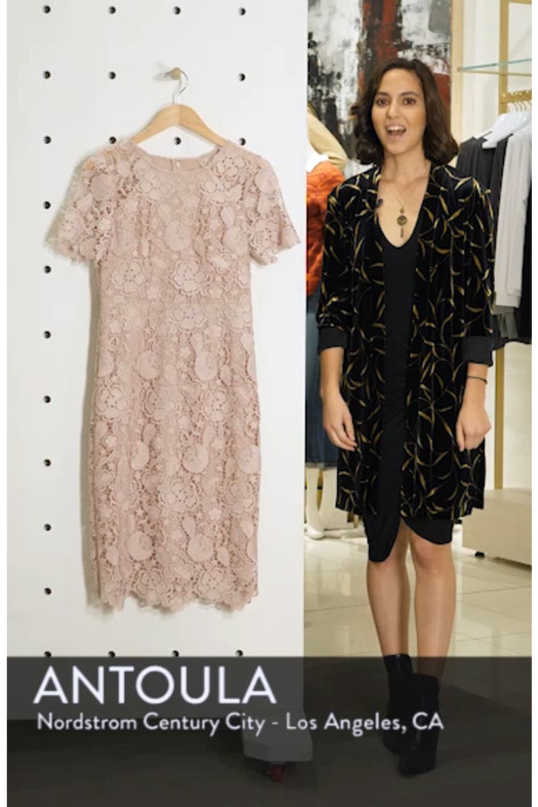 Embroidered Lace Sheath Dress video