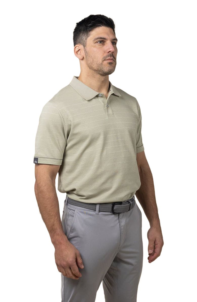ASHWORTH GOLF Henry Polo, Alternate, color, Moss