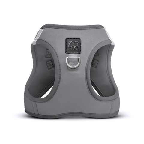 SoHo Dog Harness