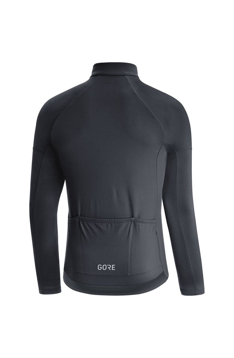 GOREWEAR C3 Thermo Jersey - Men
s, Alternate, color, 