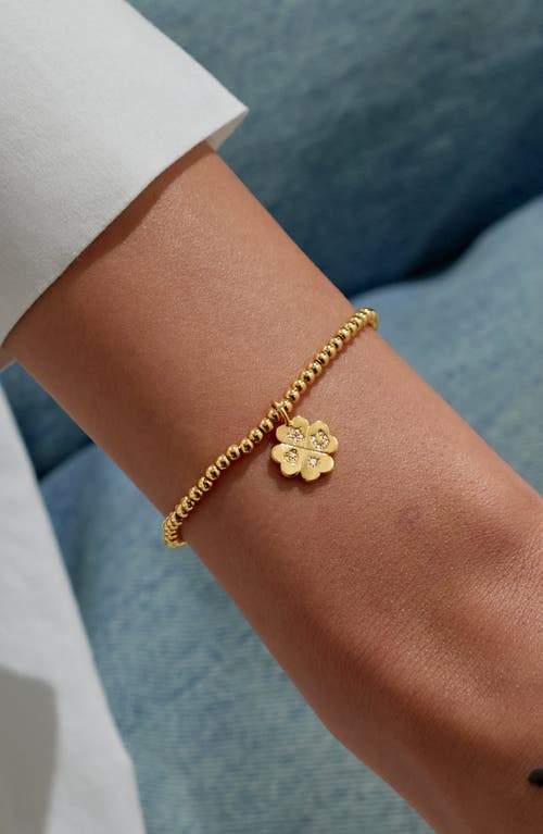 A Littles & Co. A Littles & Co A Little 'lucky Charm' Bracelet In Gold-tone Plating In Gold