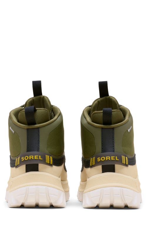 Sorel Callsign Horizon™ Mid Gtx Gore-tex® Waterproof Sneaker In Green