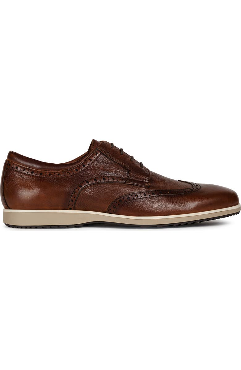 Geox Blainey 2 Wingtip, Alternate, color,