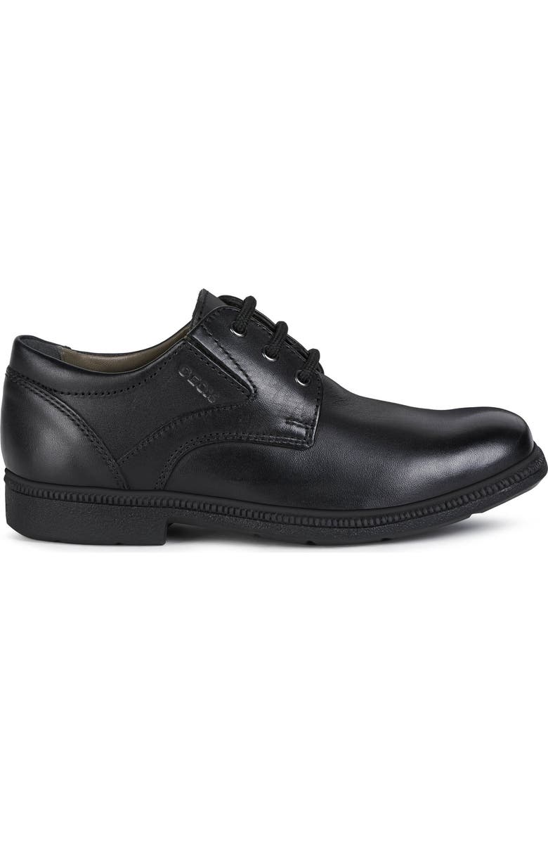 Geox Federico 7 Derby, Alternate, color,