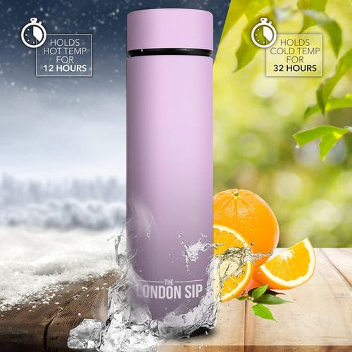 London Sip Infuser Bottle 2-pack, 16oz In Purple