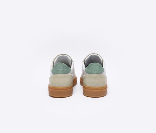 P448 Soho Sneaker In White