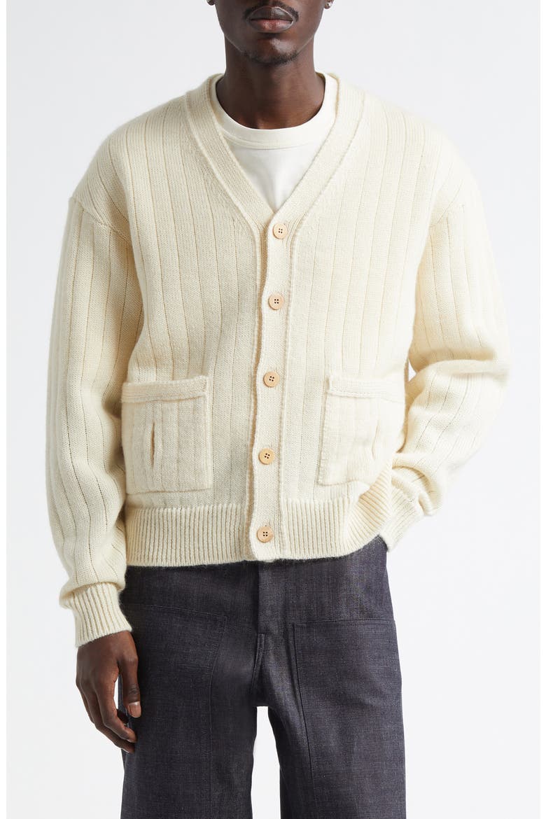 Mohair & Cotton Blend Cardigan (Men) | Nordstrom