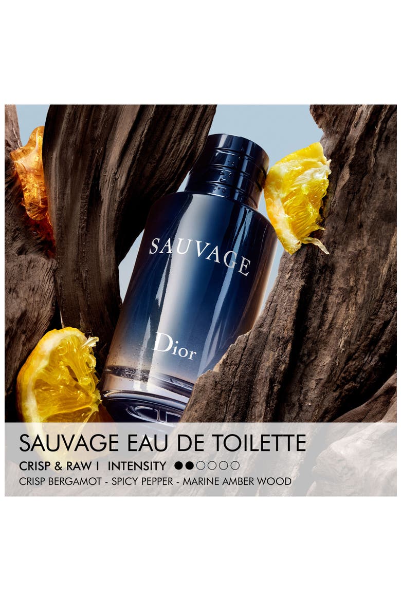 Sauvage Eau de Toilette Set, Alternate, color, NO COLOR
