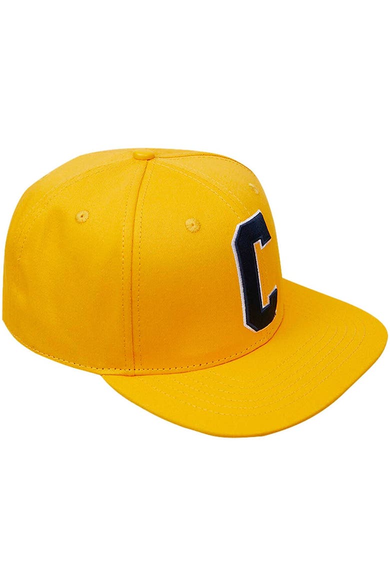 Men's Pro Standard  Gold Coppin State Eagles Evergreen C Snapback Hat, Main, color, Gold