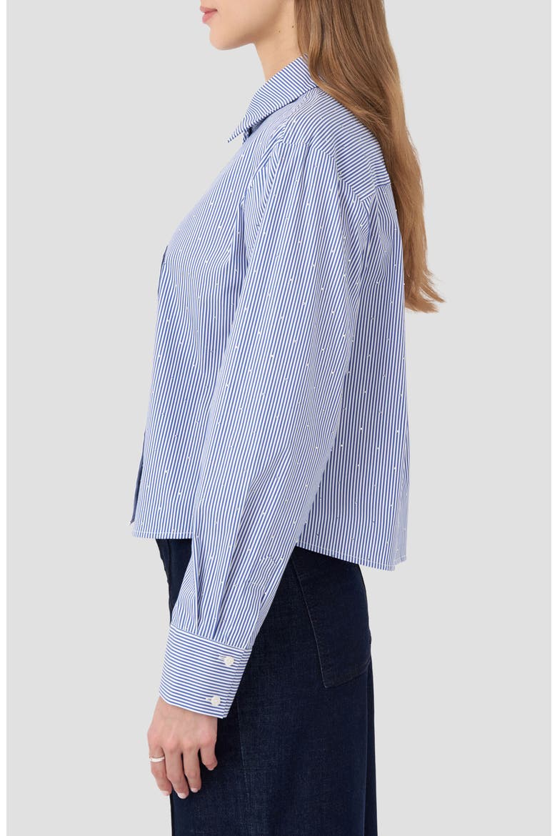 Boxy Stripe Button-Up Shirt, Alternate, color, BLUE STRIPE