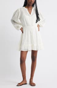 Treasure & Bond Embroidered Sheer Long Sleeve Minidress