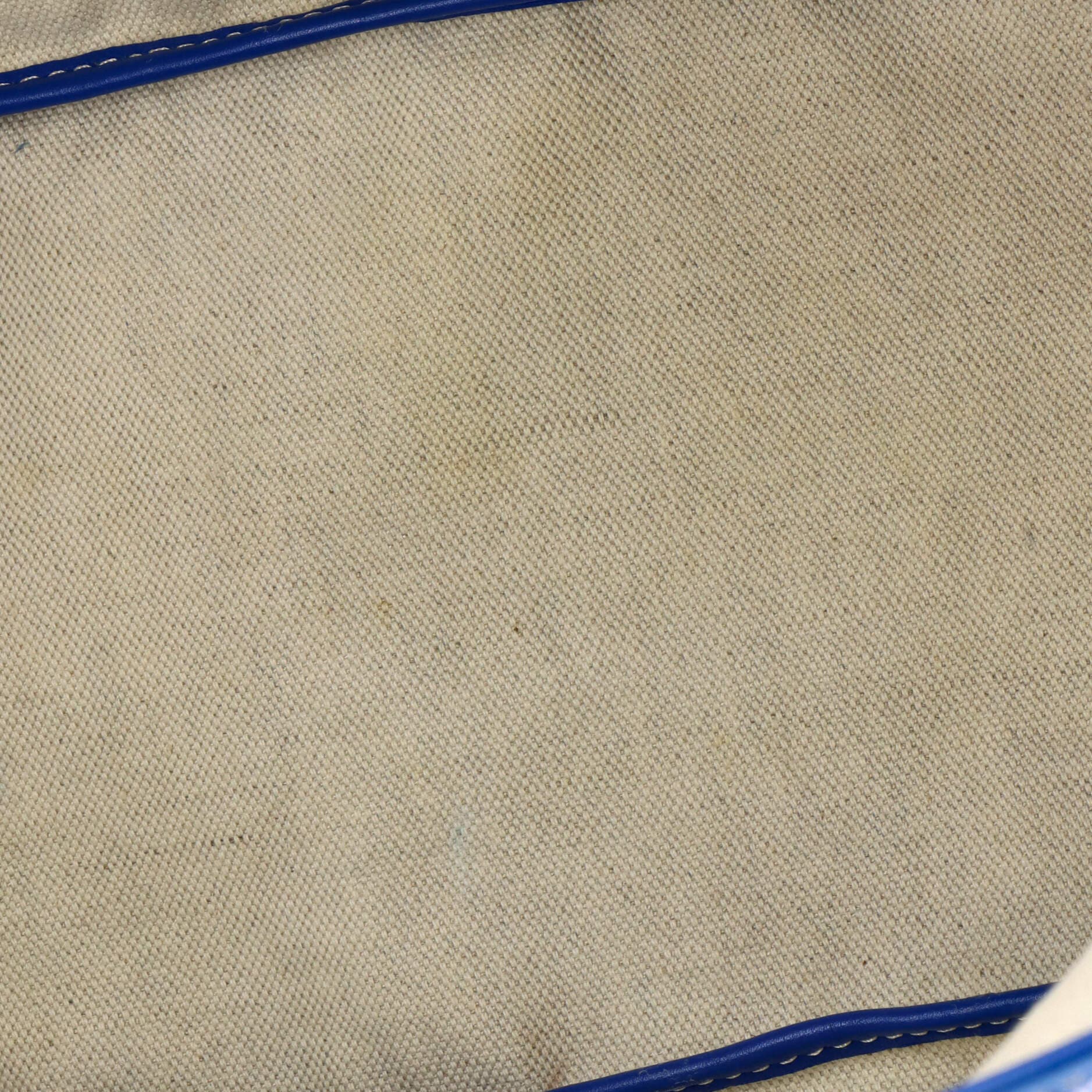 Pre-Owned Goyard Saint Louis Tote Coated Canvas PM, Alternate, color, Blue