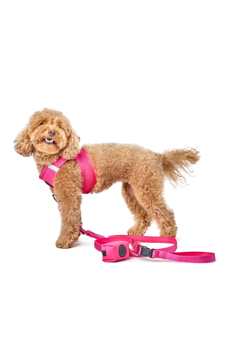 Dogistry 3-in-1 City Dog Leash, Alternate, color, Park Ave Pink - Small