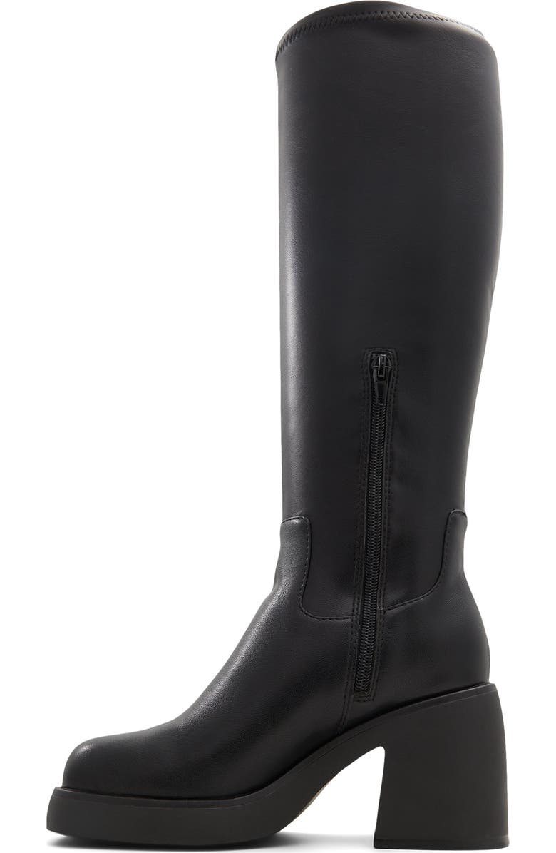 ALDO Auster Knee High Boot, Alternate, color,