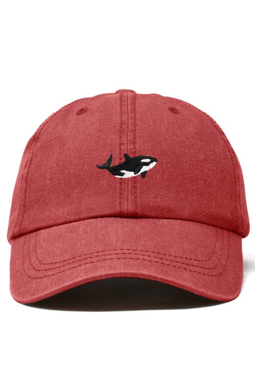 Shop Dalix Killer Whale Embroidered Dad Hat In Washed Red