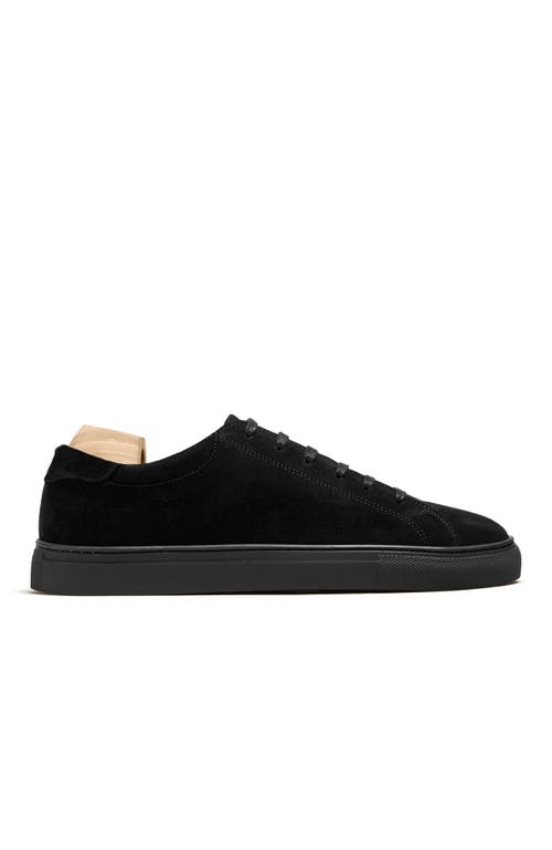 Myrqvist Oaxen Monochrome Ii Sneakers In Black