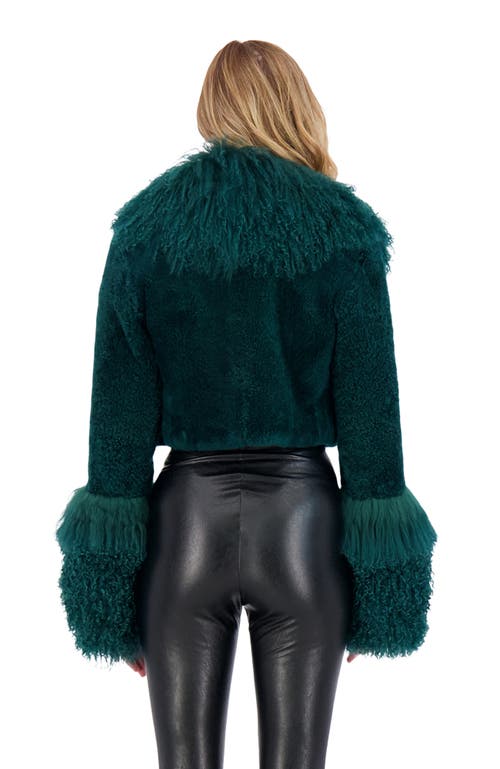 Gorski Cashmere Goat Shearling Crop Bolero Jacket With Mongolian Goat Fur Collar And Cuffs In Green