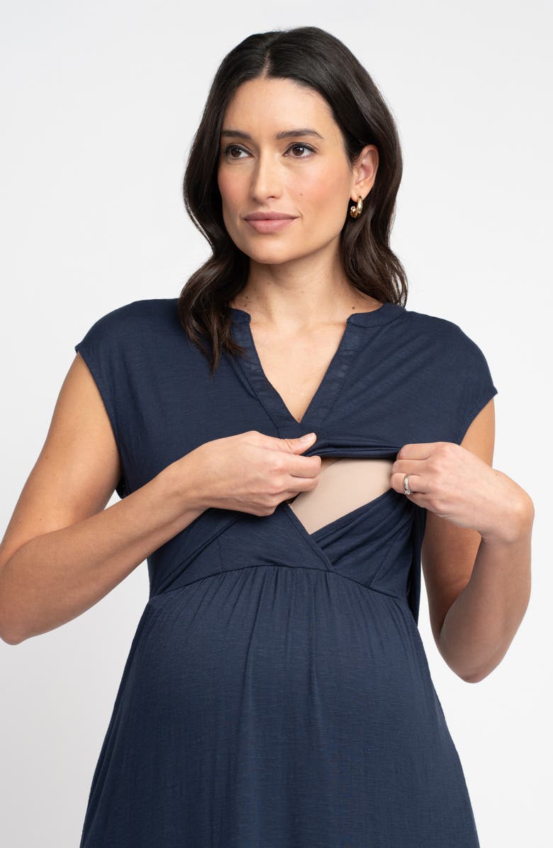 Seraphine Cap Sleeve Jersey Maternity/Nursing Dress, Alternate, color, 