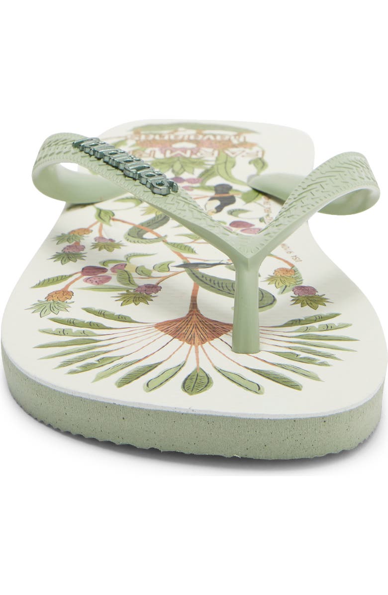 Havaianas Farm Sweet Forest Flip Flop, Alternate, color, Smoke Green