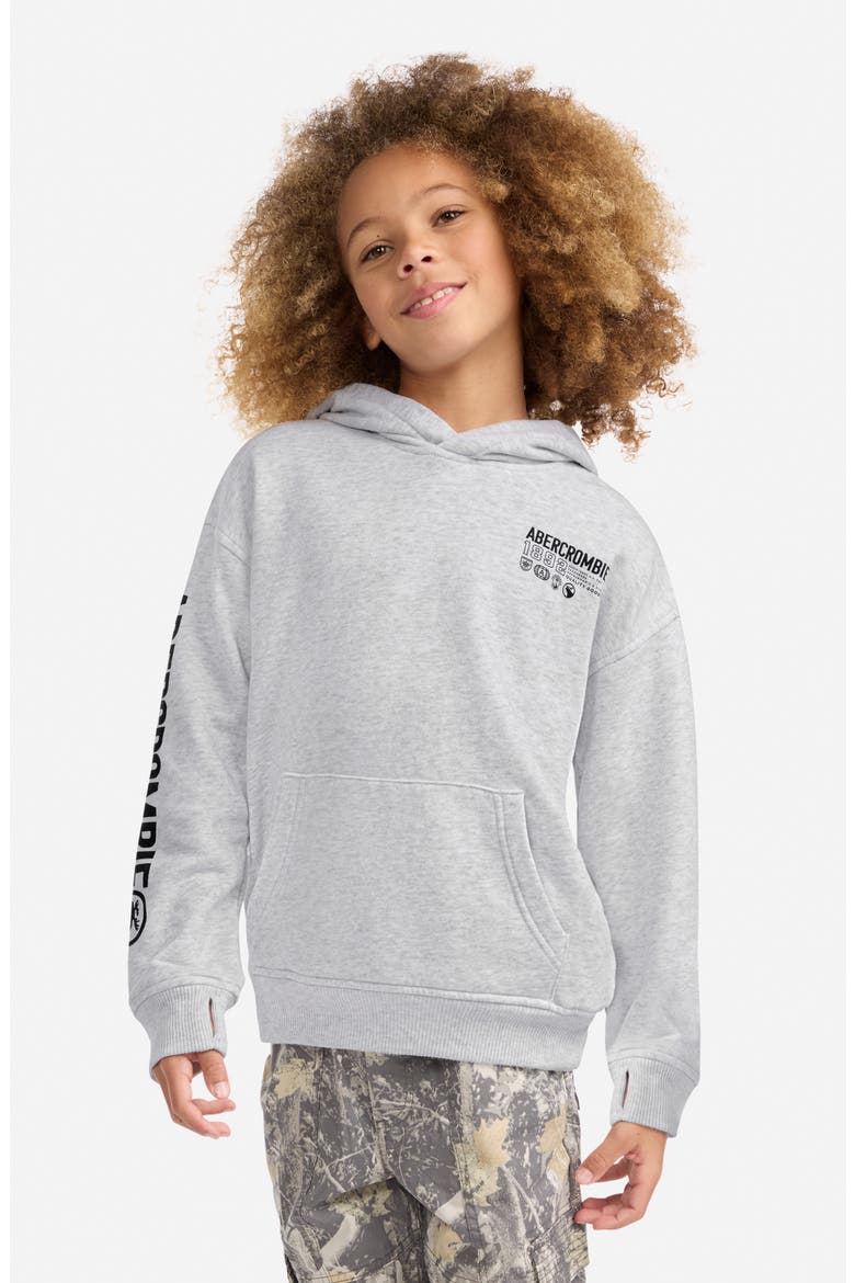Kids' Scenic Fashion Cotton Blend Hoodie, Alternate, color, LIGHT GREY HEATHER