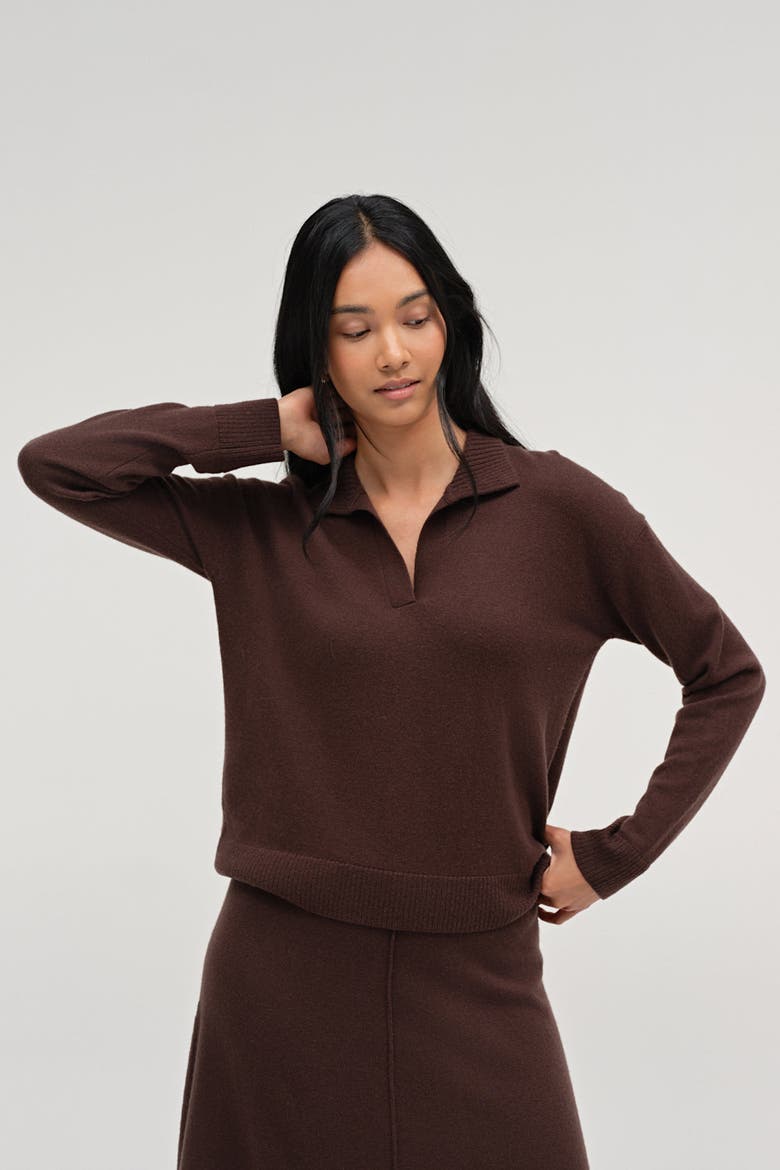Wool-Cashmere Collared Sweater, Alternate, color, Brown