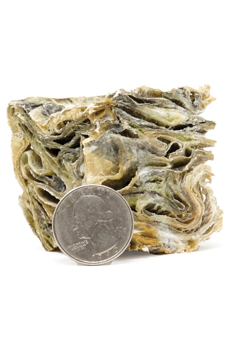 ICELANDIC+ Large Cod Skin 2" Cube Dog Treat, Alternate, color, Multicolored