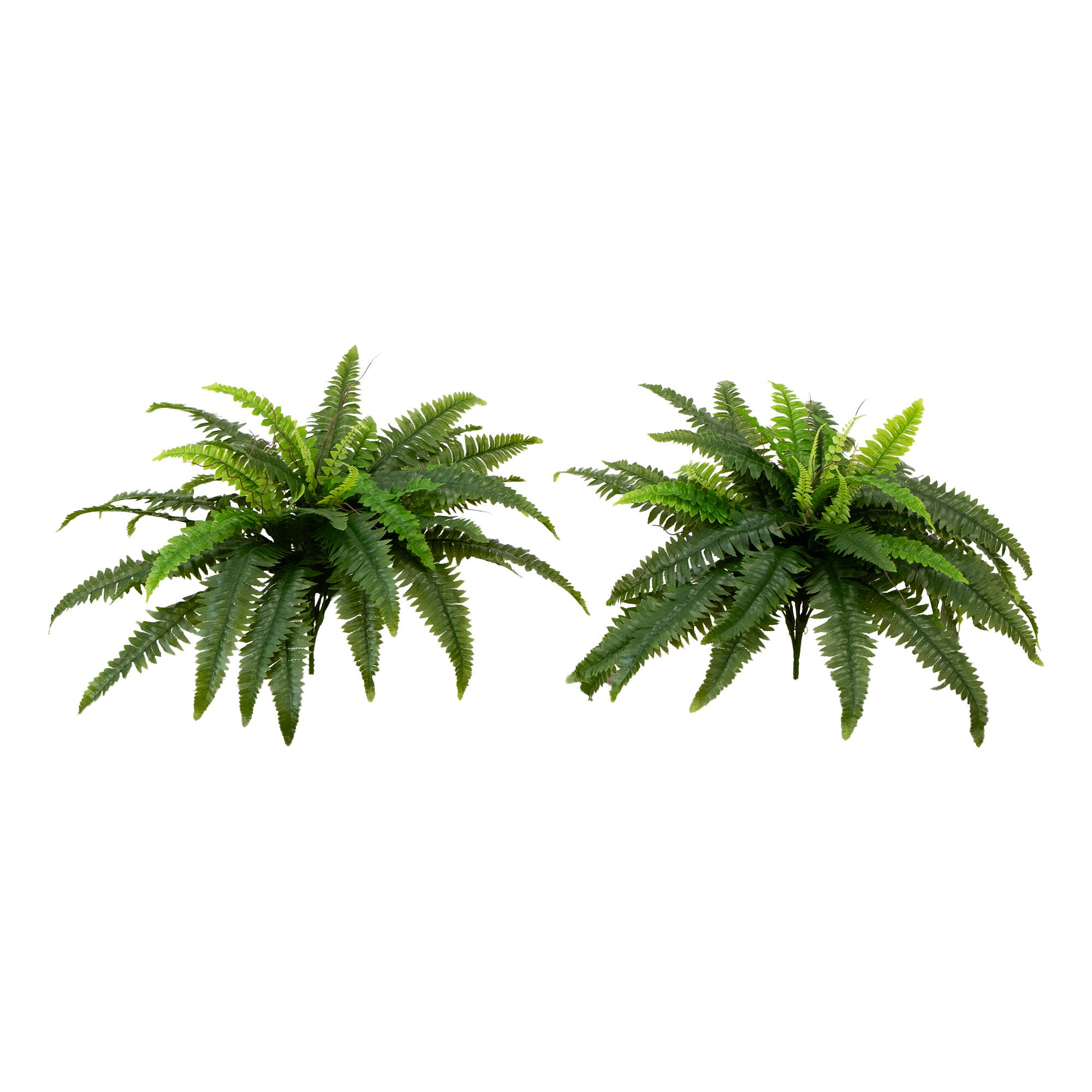selected Green