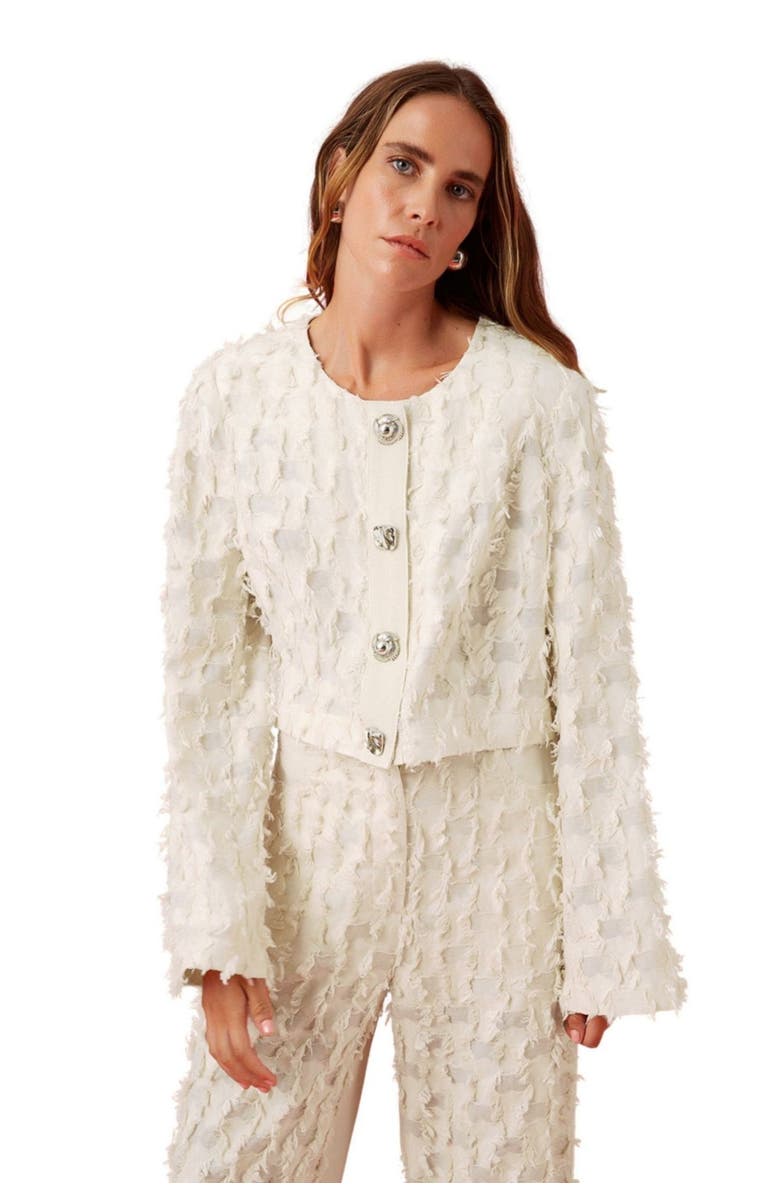 Nocturne Tasseled Wide Leg Pants, Alternate, color, 