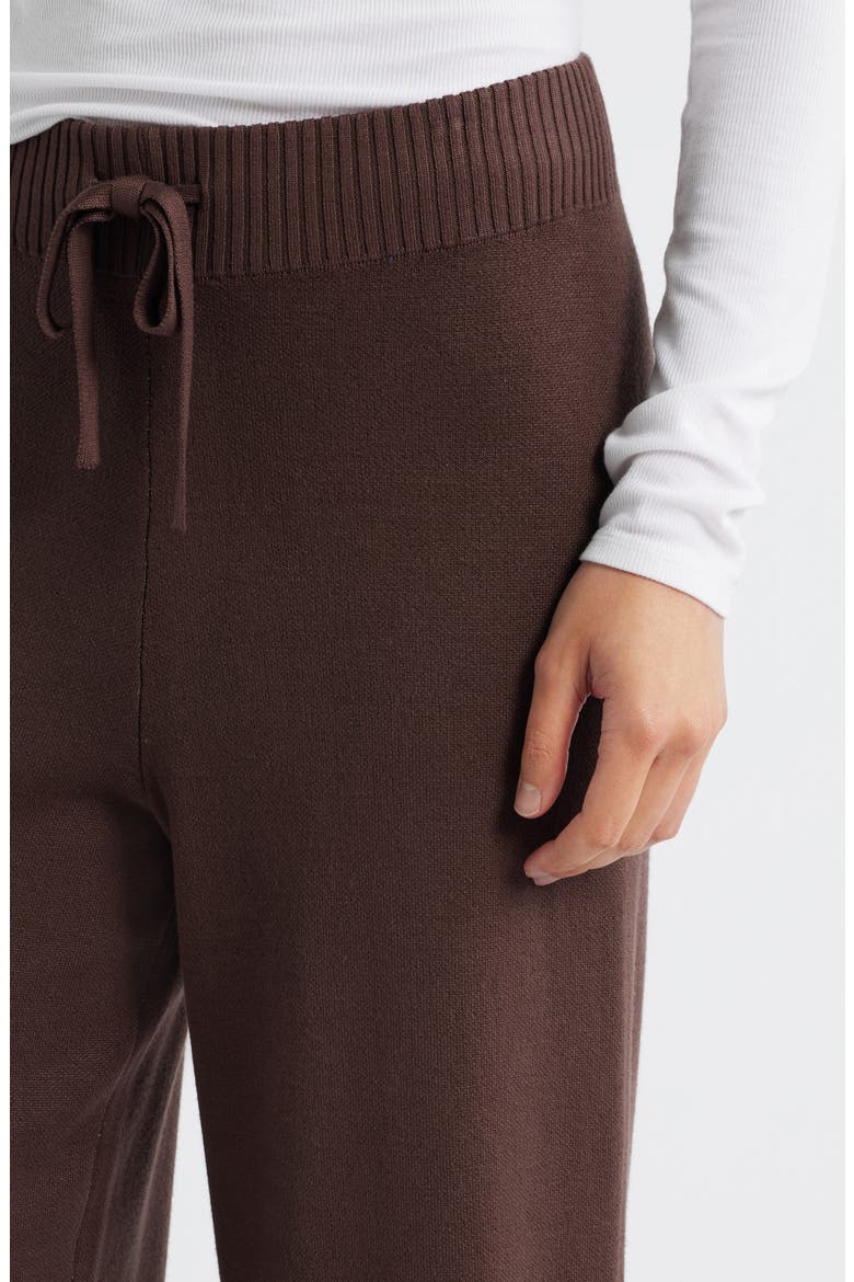 Stripe Leg Sweater Pants, Alternate, color, EARTH