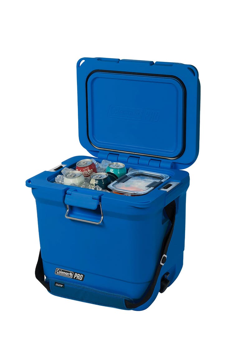 Pro Series 25-Quart Hard Cooler, Main, color, Neptune