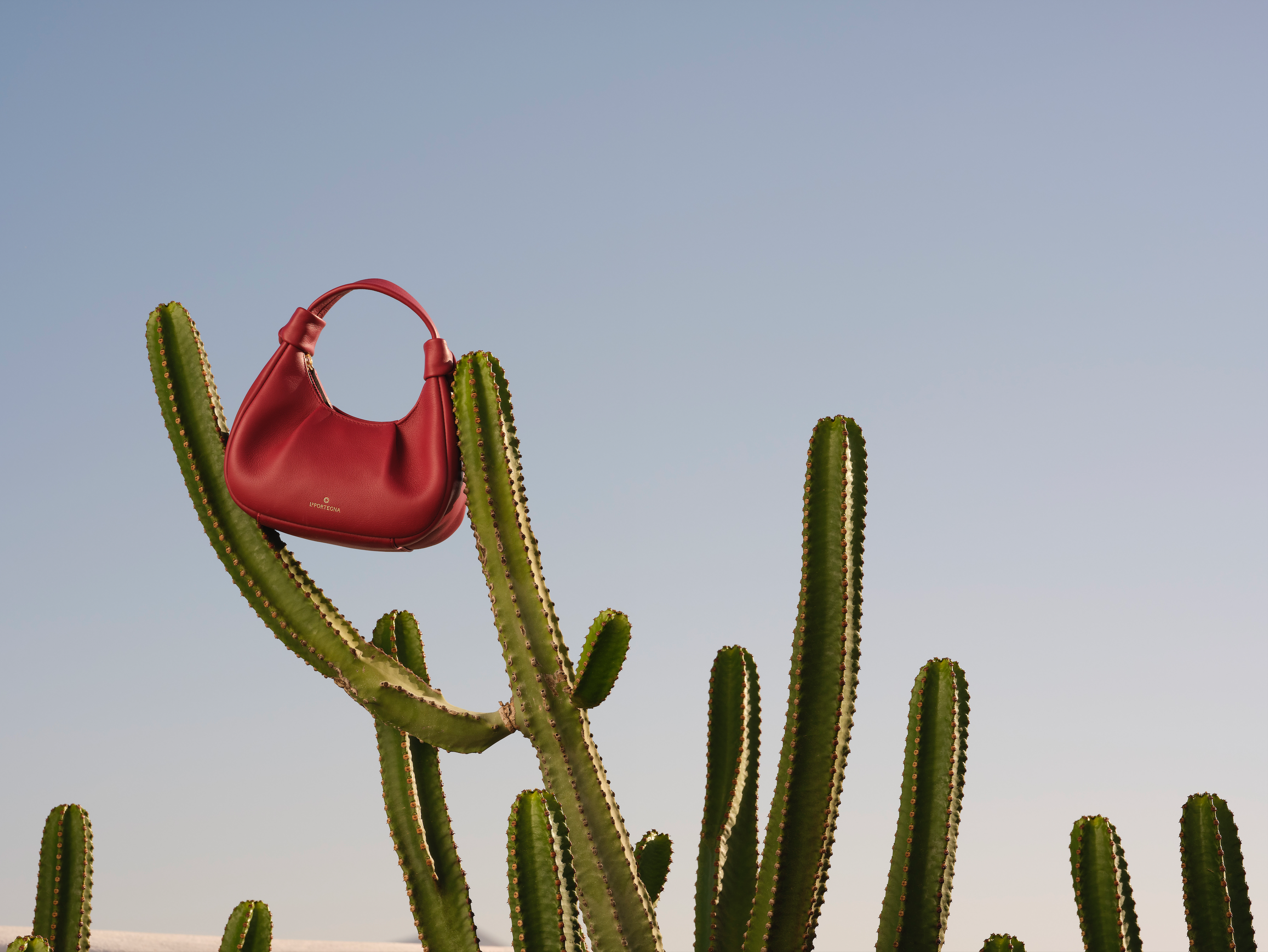 Anita Hobo Bag, Alternate, color, Raspberry