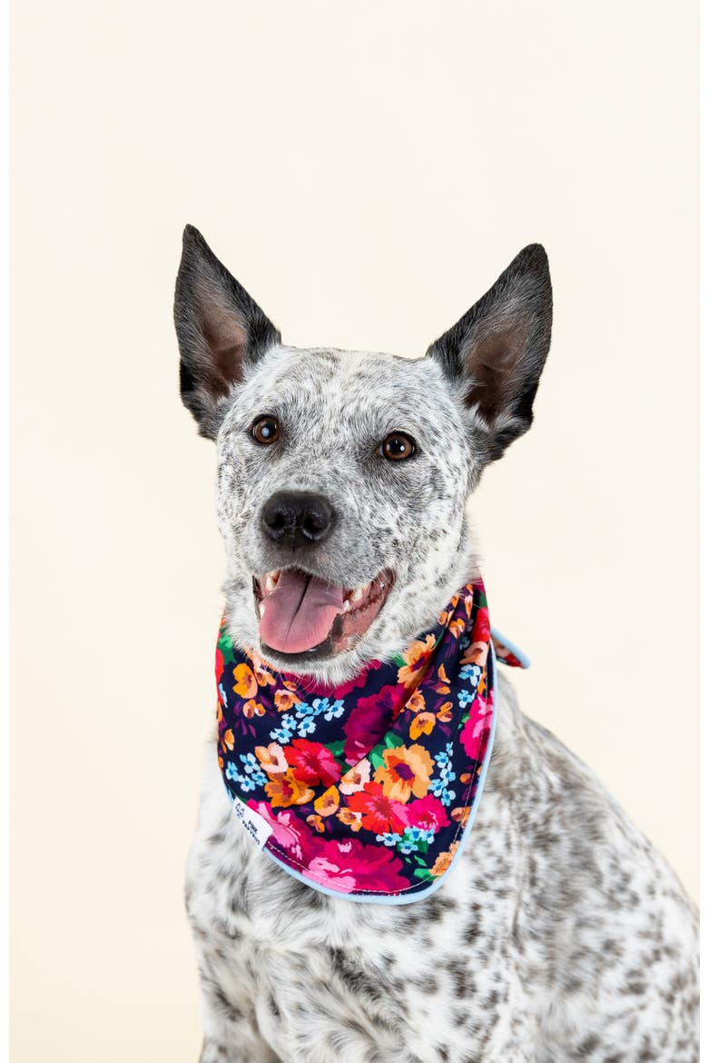 Ophelia Pet Bandana, Alternate, color, Ophelia