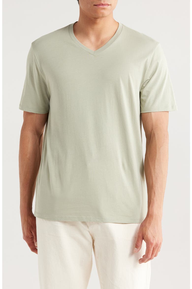 V-Neck T-Shirt, Main, color, DRIED CACTUS