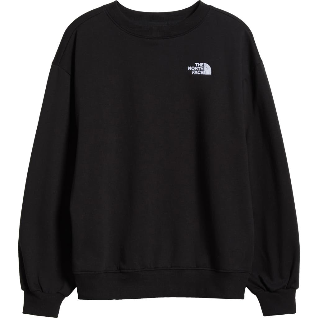 THE NORTH FACE THE NORTH FACE EVOLUTION OVERSIZE CREWNECK SWEATSHIRT