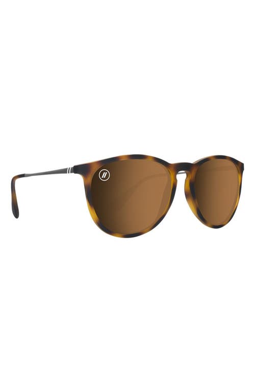 Blenders Eyewear 53.8mm North Park Polarized Round Sunglasses