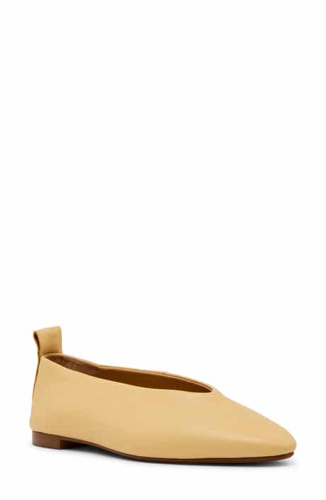 Swanky Pointed Toe Flat